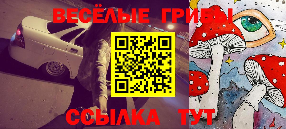 Псилоцибиновые грибы Cubensis Балашов